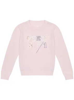 Ballet Pink Long Sleeve Logo Knit Top (2-7)