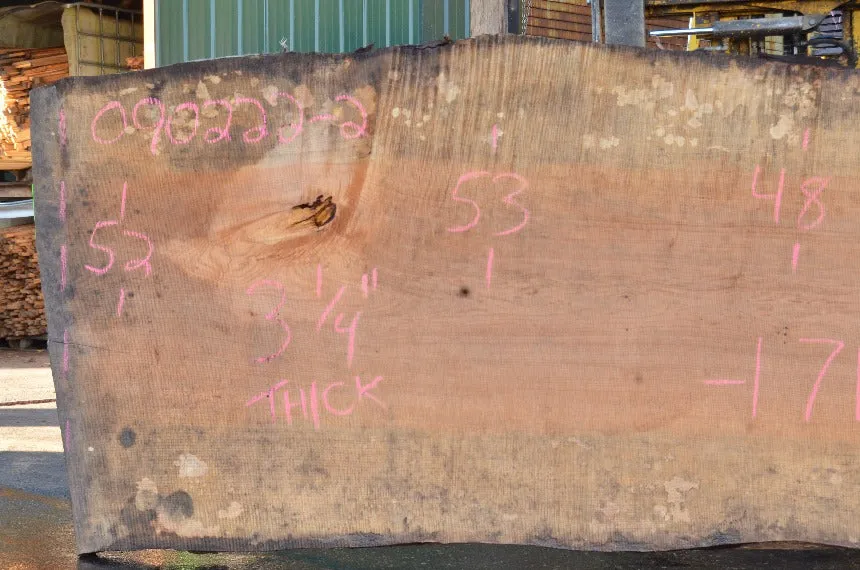 Big Leaf Maple Slab 090222-02