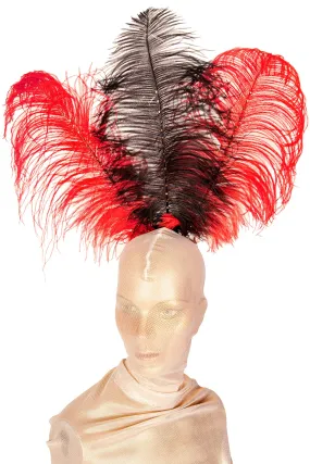 Circus Headpiece