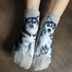 Dogs Ankles - Huskies Cream