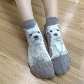 Dogs Ankles - West Highland White Terrier