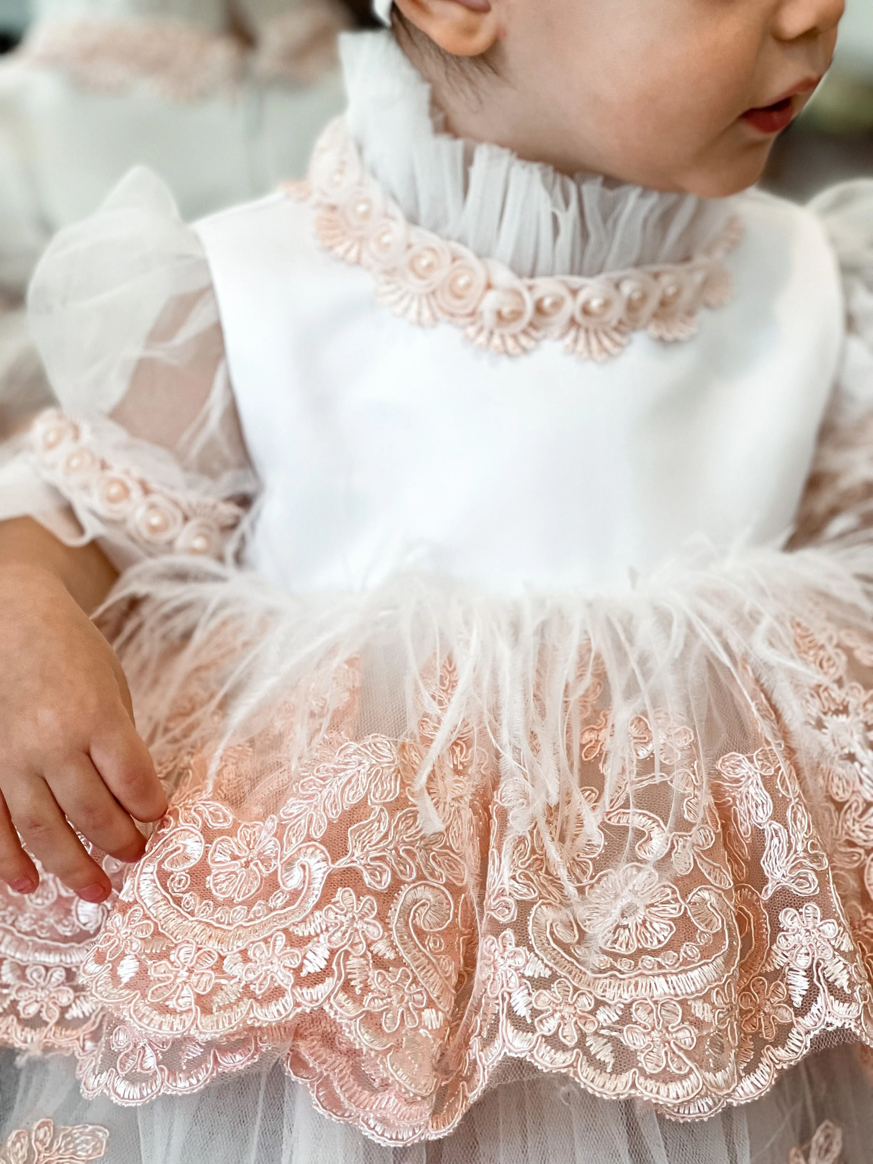 Laila Embroidered Feather Dress