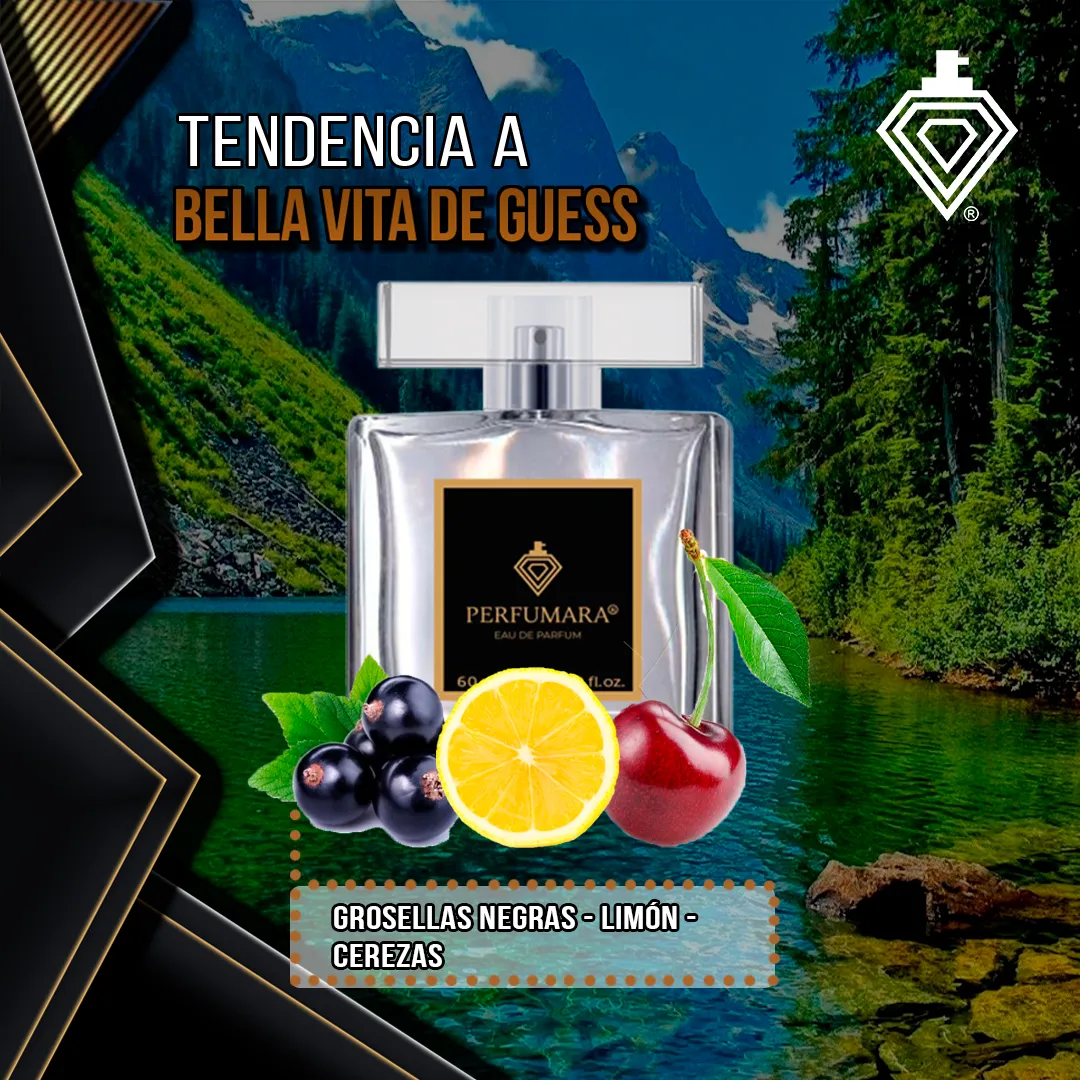 Tendencia a DBella Vita